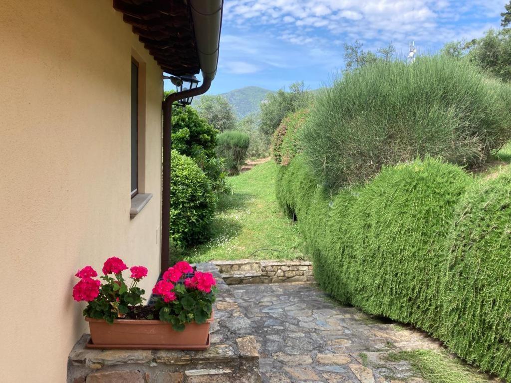 Agriturismo Cima Alla Serra Buti Kültér fotó