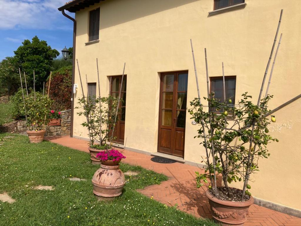 Agriturismo Cima Alla Serra Buti Kültér fotó